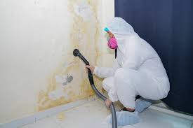 Best Mold Prevention Services  in Lock Haven, PA